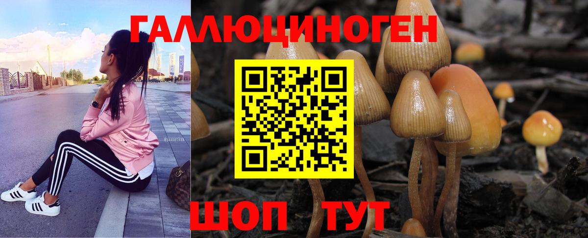Зима  Галлюциногенные грибы мухоморы  Вход с VPN  Псилоцибиновые грибы ЛСД 
