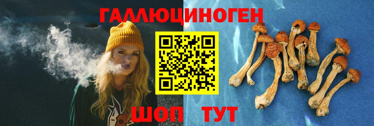 Псилоцибиновые грибы мицелий Зима